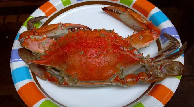 Crab on a plate