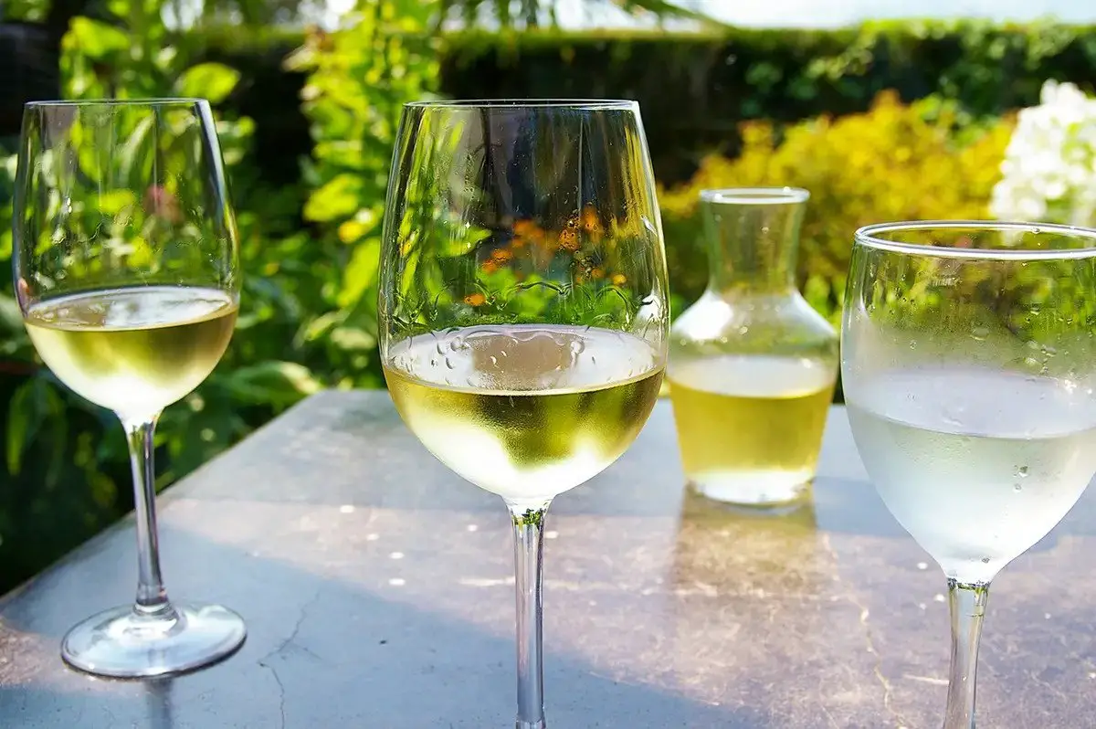 chardonnay vs Sauvignon Blanc: three different types of wine in glasses with a decanter nearby