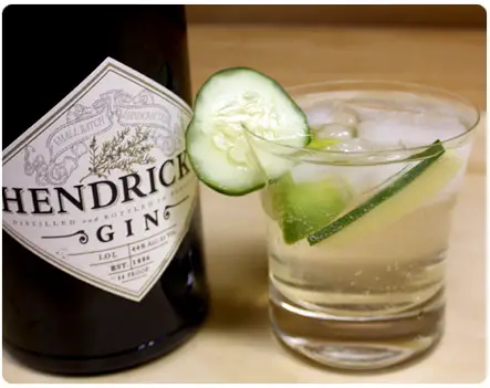 Hendrick's Gin and Tonic with Cucumber