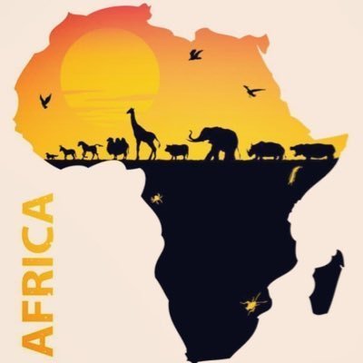 Animals walking through Africa