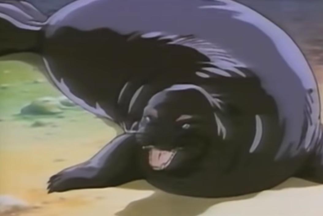 a seal from The Secret of the Seal Movie