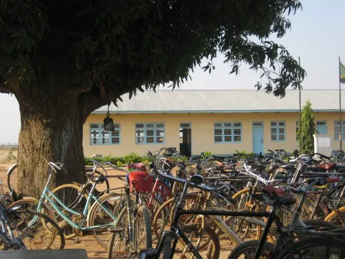 Bicycles under a Tree, African Barrick Gold (Buzwagi)