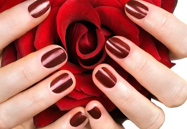 hands with red nails holding a red rose