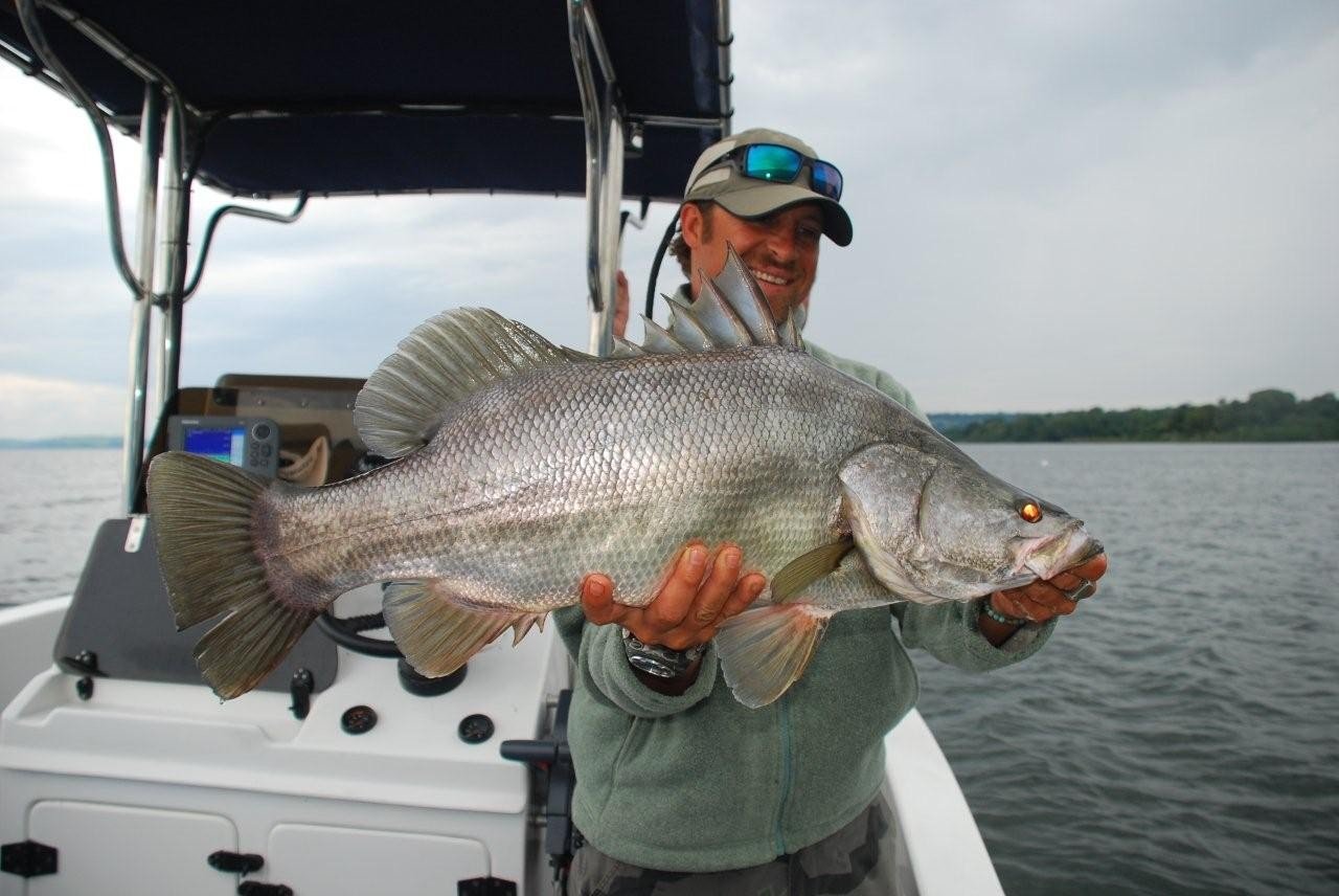 Big fish Rubondo Island National Park