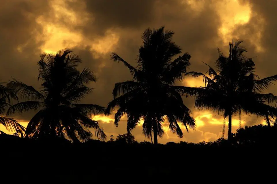 Sunset at KWS Kisite Mpunguti Marine Park