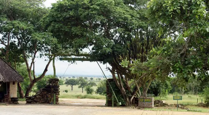 Mikumi National Park Entrance