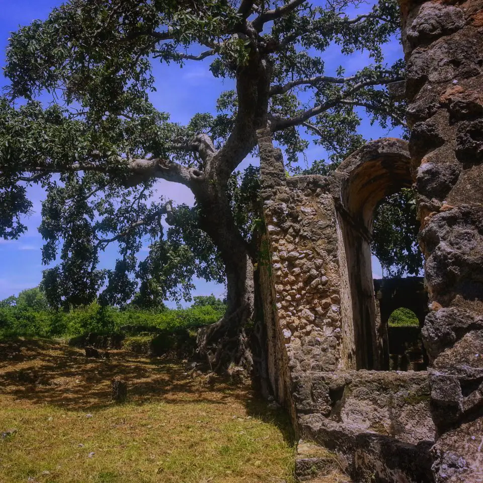 Kilwa Kisiwani, the island with the oldest remaining mosque structure on the east african coast