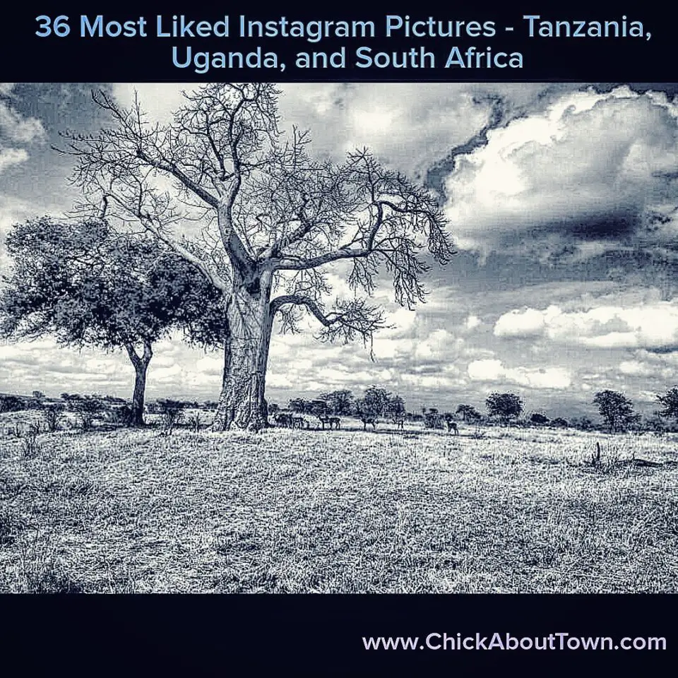 First Instagram Roundup Post: 36 Instagram Photos with the Most Likes on Instagram - Tanzania, Uganda, South Africa