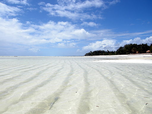 Paje Beach at Low Tide, Zanzibar