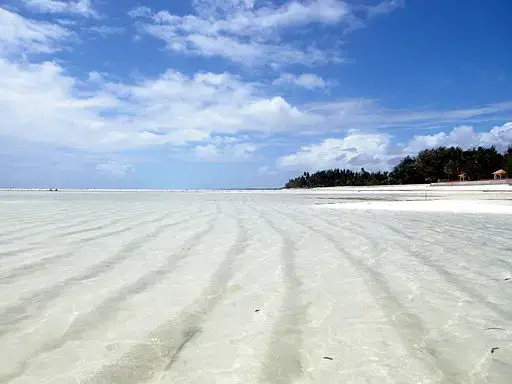Paje Beach at Low Tide, Zanzibar