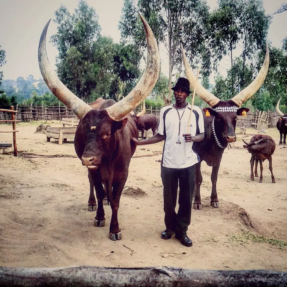 east african honey instagram takes pictures of Herdsman at The King’s Palace Museum, Nyanza, Rwanda