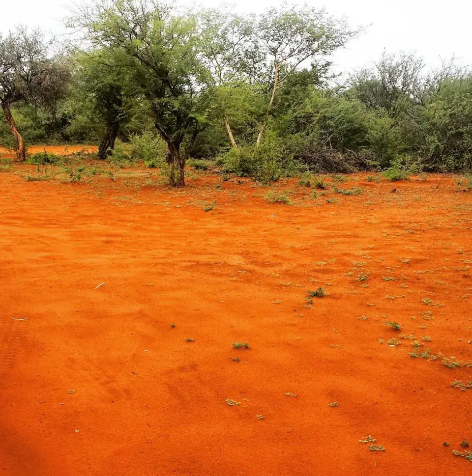 Red Earth, Botswana