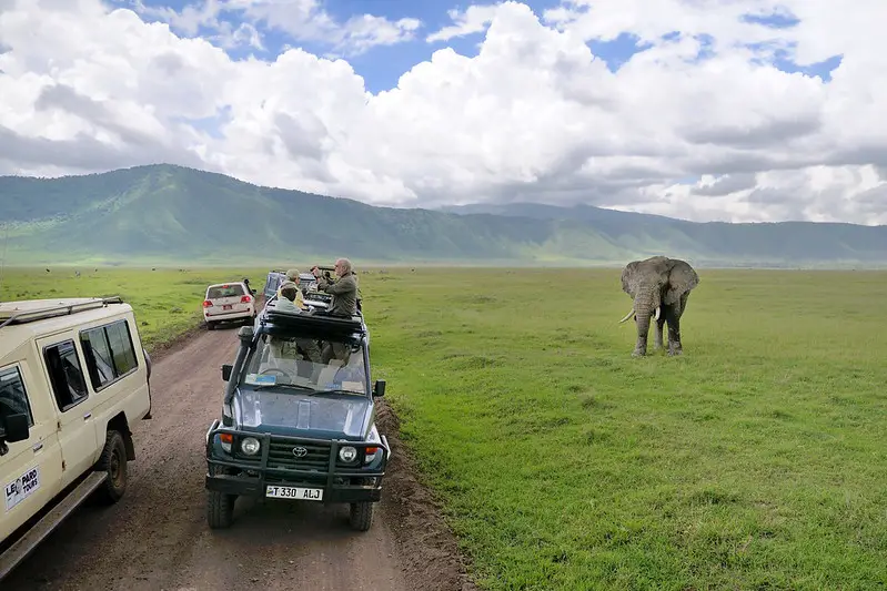 An elephant near safari cars in the Ngorongoro Crater
