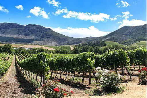 Wine farms near me discount