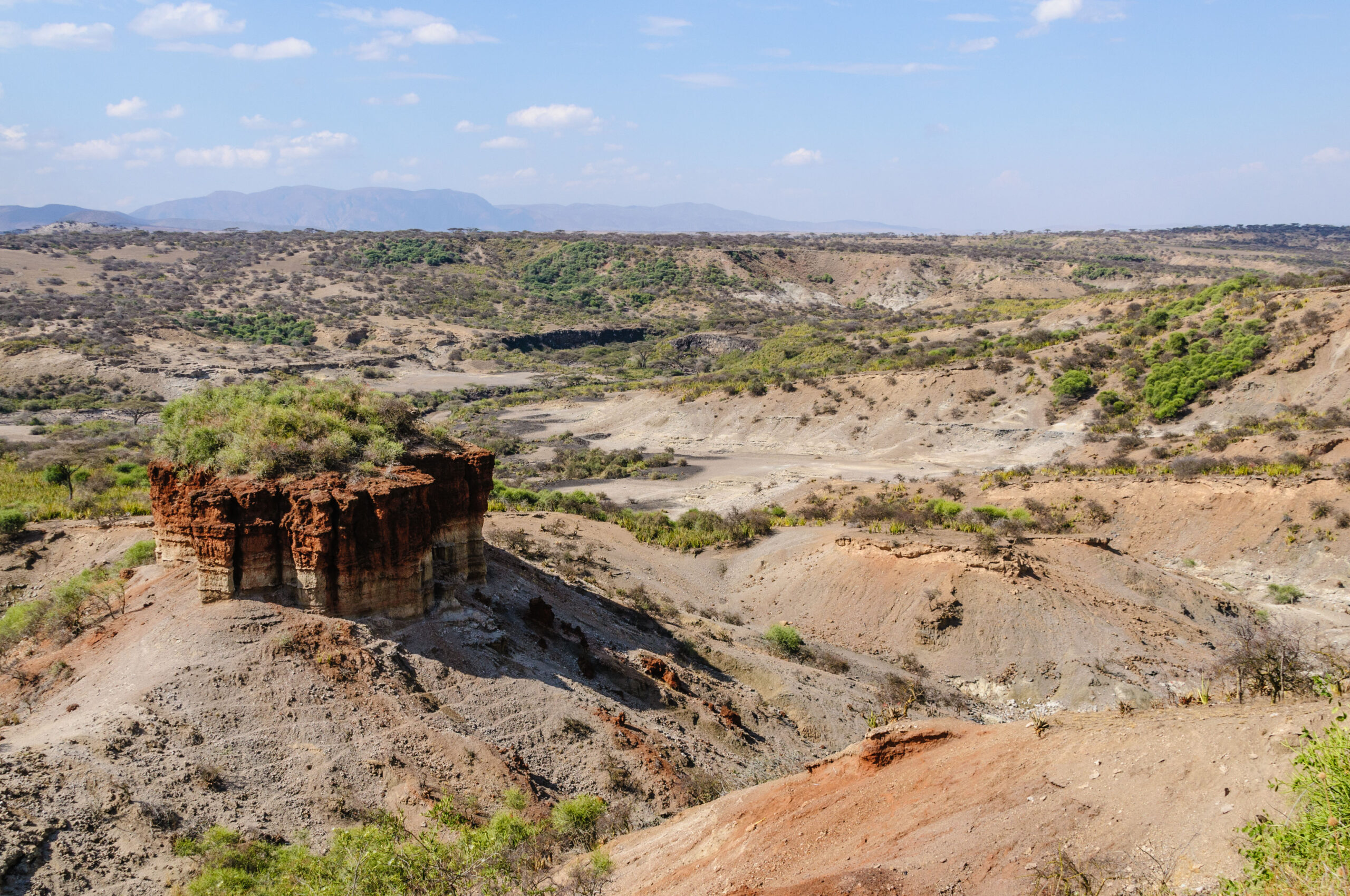 Olduvai Gorge, where many early human fossils were found