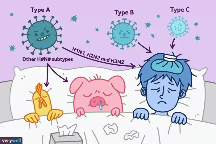 Types of flu virus