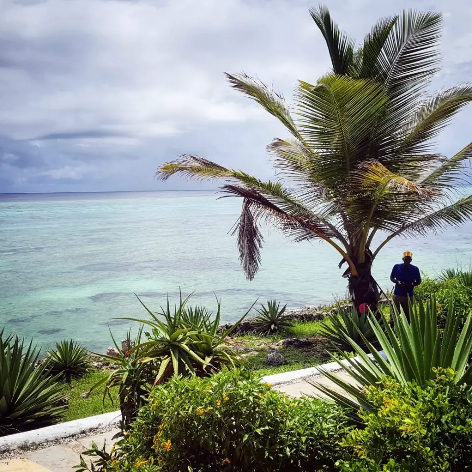 Palm tree and Ocean, Kasha Boutique Hotel, Zanzibar