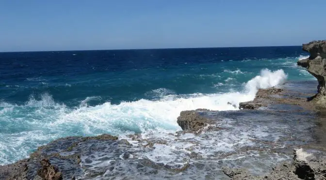 Evaneos Zanzibar peut vous emmener au bord de l’océan indien