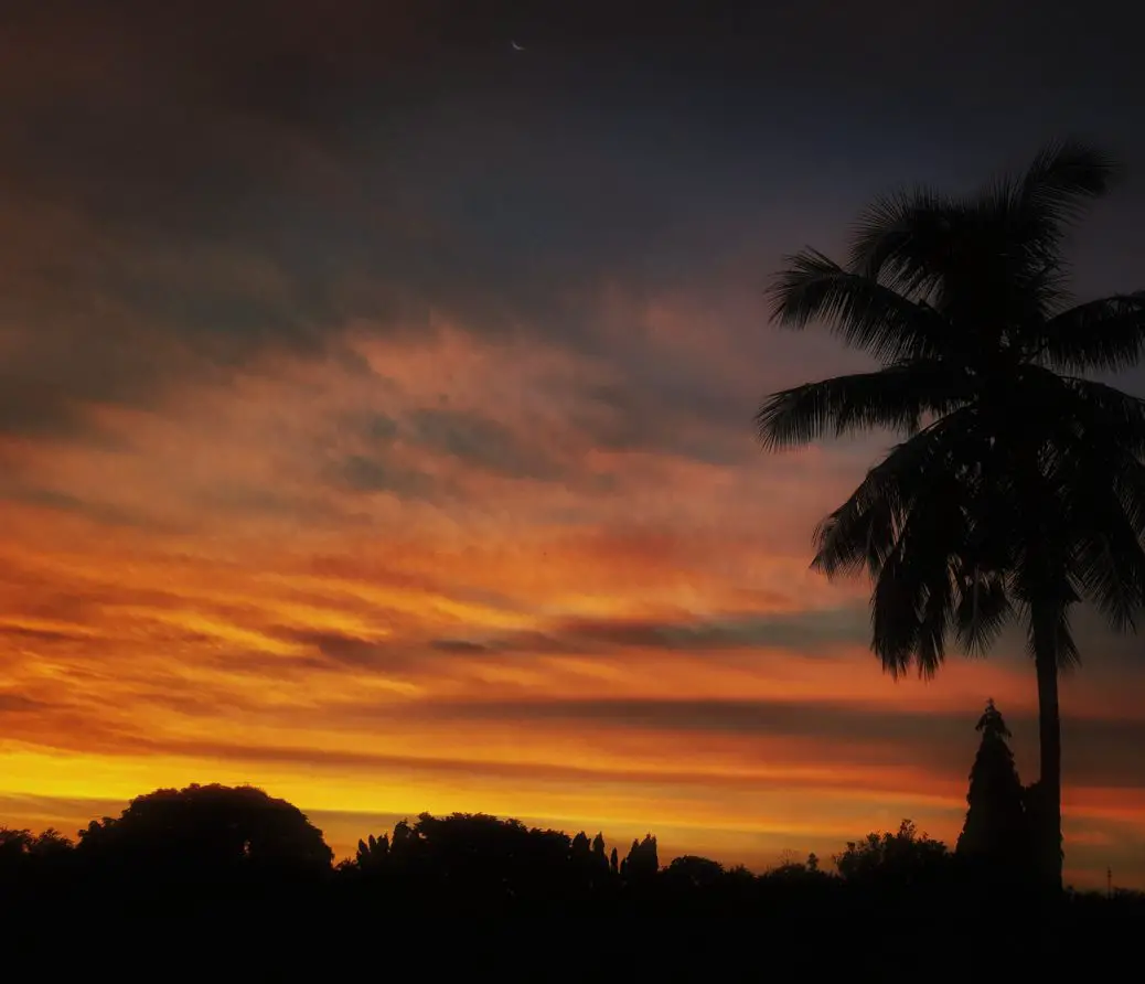 You can see sunsets with palm trees on tailor-made Watamu trips