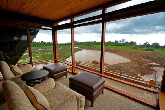 Aberdare National Park Accommodation: Viewing Room at The Ark Lodge Kenya