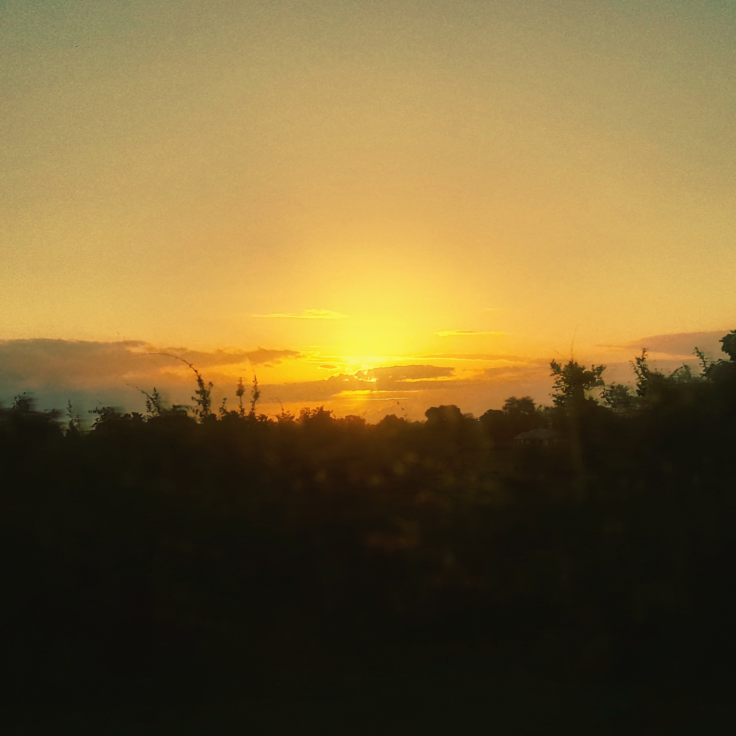 Segera Sunset, Tanzania