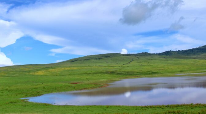 Water in the Ngorongoro Crater