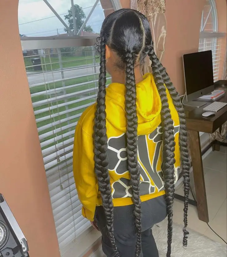 Aggregate 87+ large braids hairstyles super hot in.eteachers