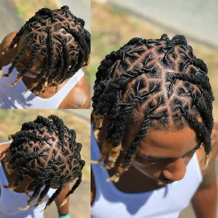 3 Strand Twist Dreads Styles Men