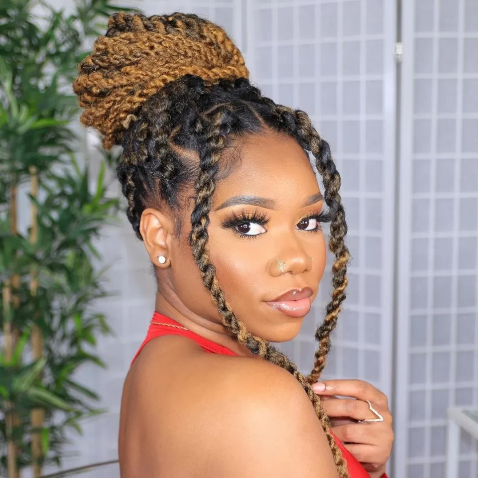 rocking-natural-twist-styles-a-guide-to-4-stunning-natural-hairstyles