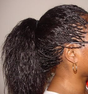 Human Hair Micro Braids Hairstyles
