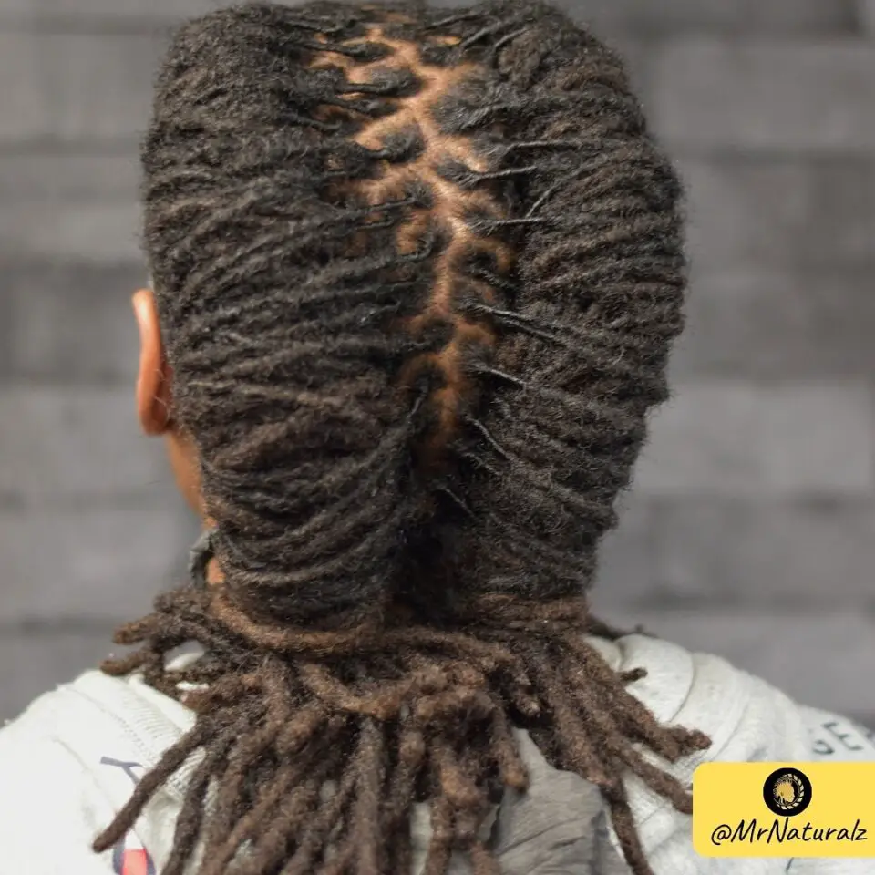 2 barrel twist locs male