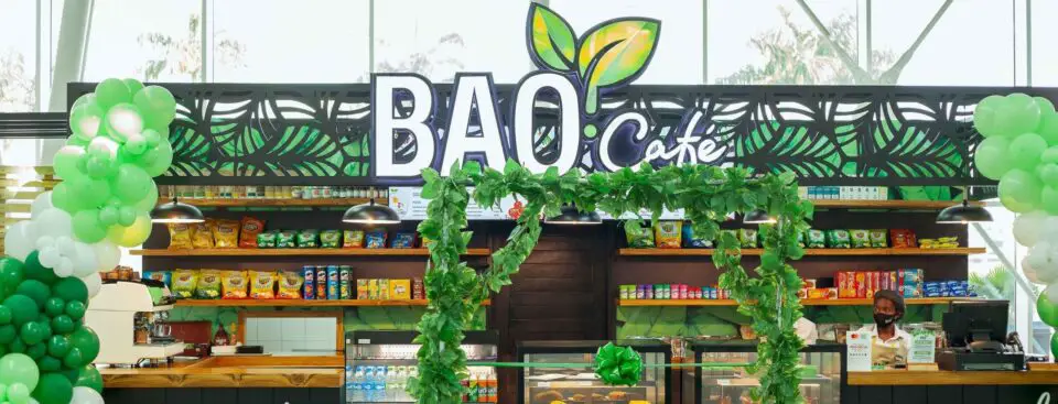 Bao cafe Dar es Salaam Airport