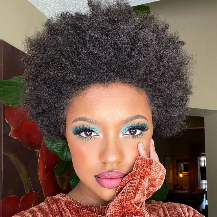 a beautiful Afro hair style