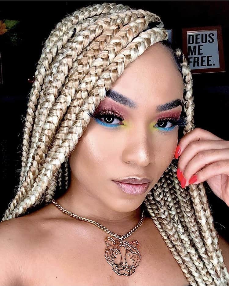 The Beauty of Mixed Blonde Box Braids 2023 A Unique Twist on Timeless