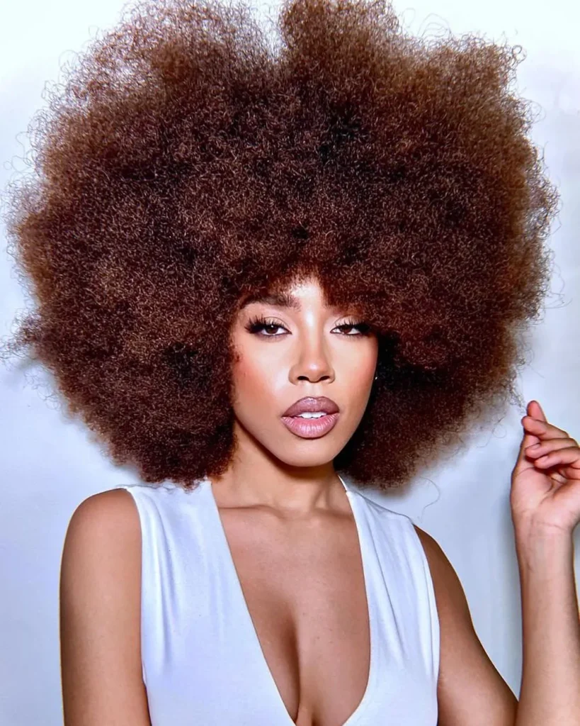 Darkest Red Brown Hair Color Afro