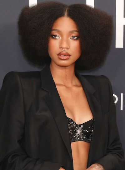 Afro Middle Part: Willow Smith